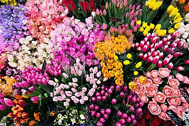 《英灵神殿》Xbox平台独占仅半年时间