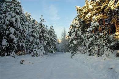 2个月销量百万 《生化危机4：重制版》全球销量突破900万